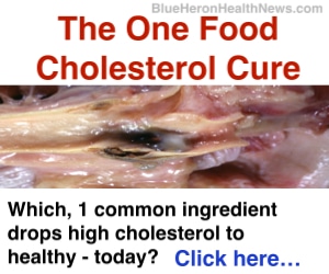 The one food Cholesterol cure