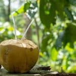 Is Coconut Water Good For Acid Reflux